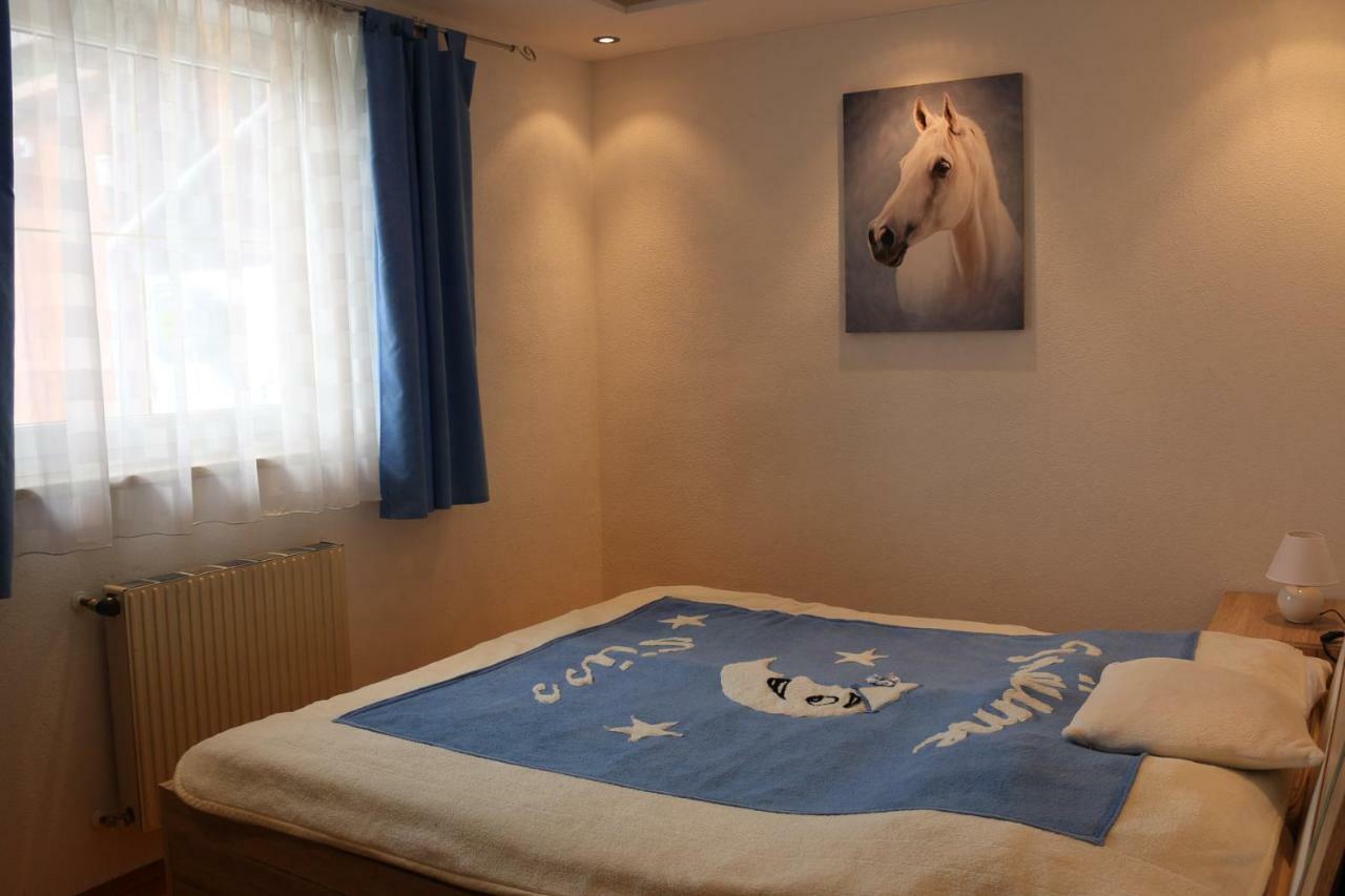 Appartamento Zur Alpenruhe Seeboden Esterno foto